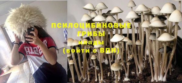 дживик Волосово