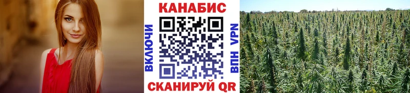 Марихуана гибрид  дарк нет какой сайт  Великий Новгород  продажа наркотиков 
